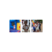 Family Day at Sainte Marie Madelaine Church 2025