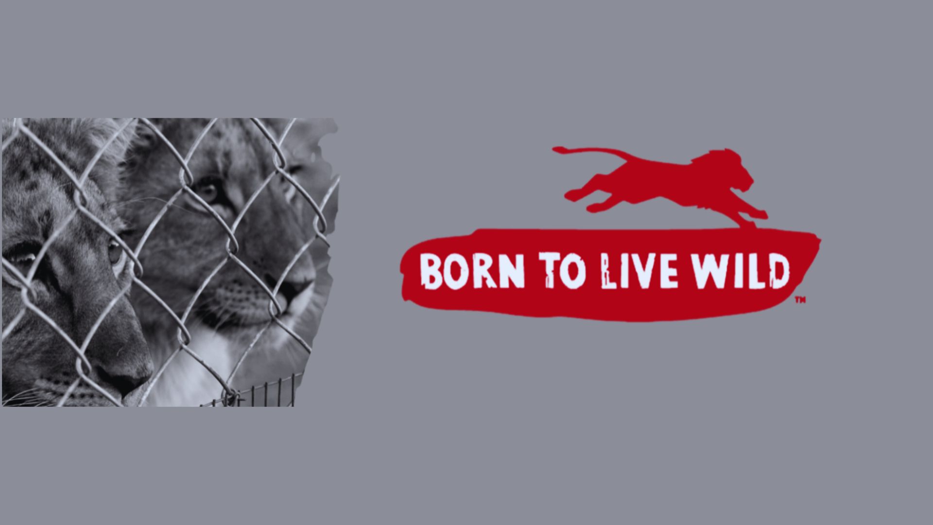 Born To Live Wild