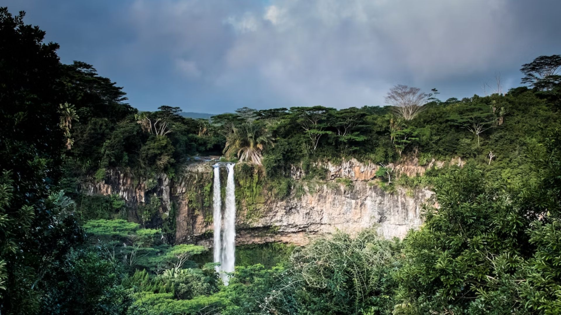 Covid-19 à la Réunion