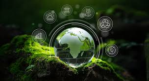 Sustainability Video